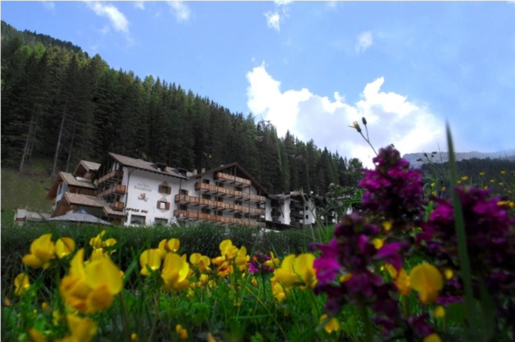 Hotel Scoiattolo Тезеро Екстериор снимка